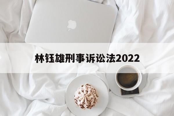 林钰雄刑事诉讼法2022(刑事诉讼法2020视频讲座)